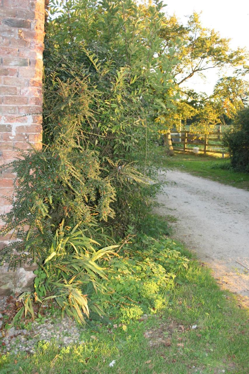 Greenway Farm Bed & Breakfast Бриджуотър Екстериор снимка